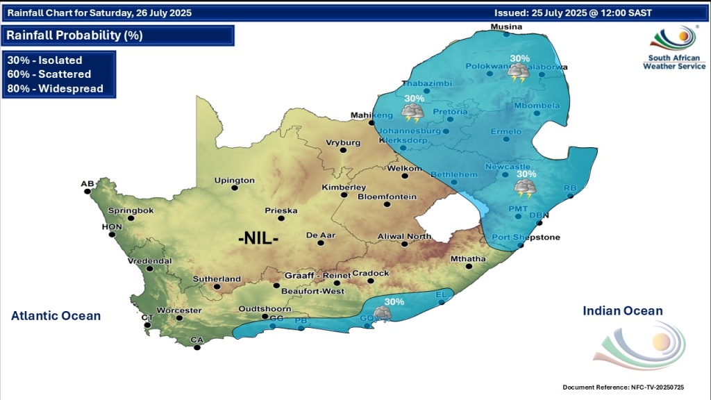Gauteng News Image