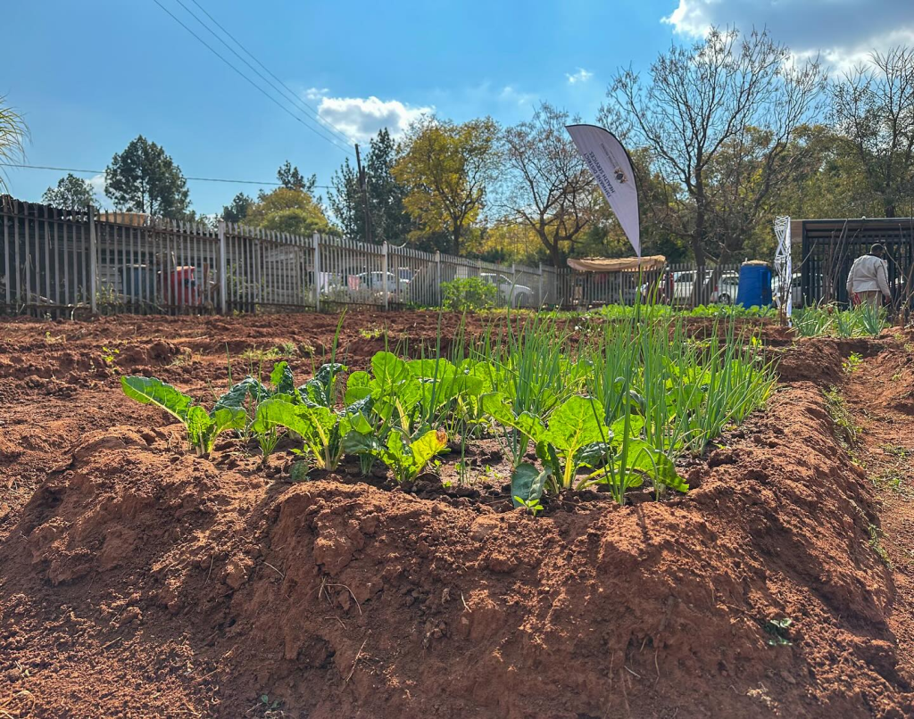 Gauteng News Image