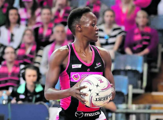 Gauteng News Image