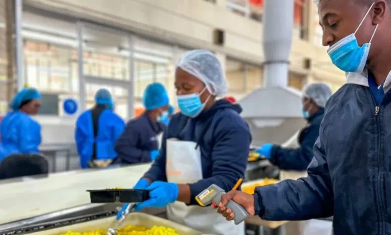8,000 Daily Meals and Clean Linen: Inside Gauteng’s Cook Freeze and Laundry Hub