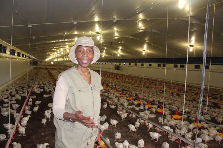 Gauteng News Image