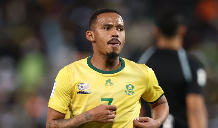 Gauteng News Image