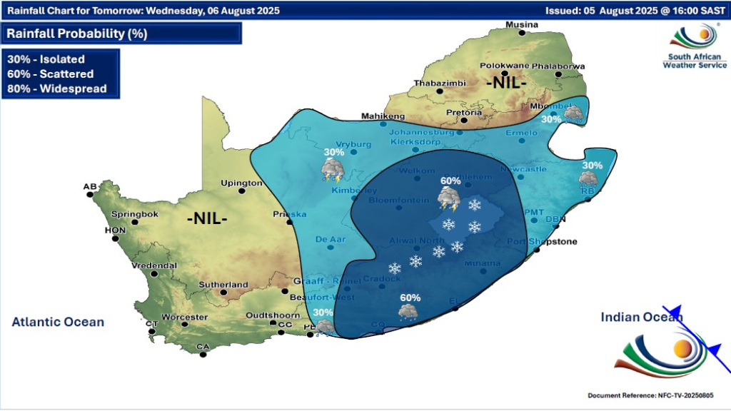 Gauteng News Image