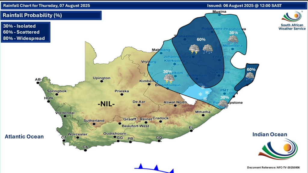 Gauteng News Image