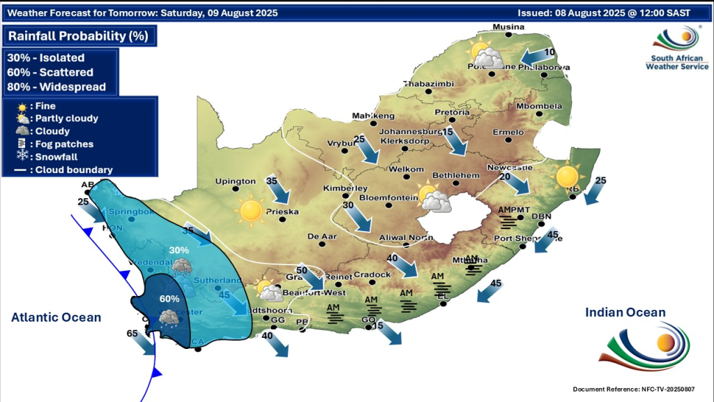 Gauteng News Image