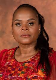 Gauteng News Image