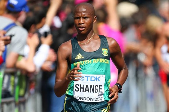Gauteng News Image