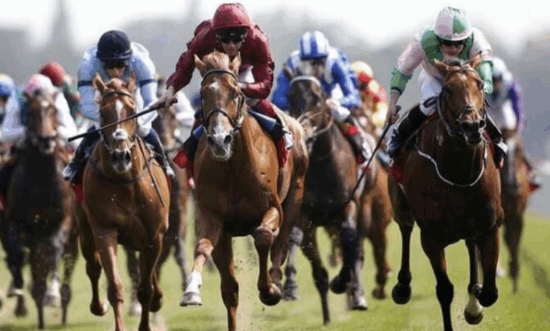 Horse Racing Fixtures in Gauteng: Betting Tips and Events