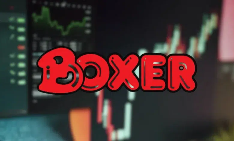 How to Buy Boxer Shares in 2025: A Factual and Informative Guide