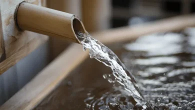 How to Survive the Gauteng Water Crisis: Storage, Saving and Smart Usage Tips for 2025