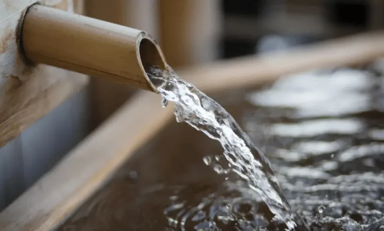 How to Survive the Gauteng Water Crisis: Storage, Saving and Smart Usage Tips for 2025