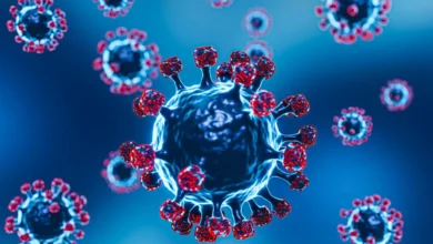 New Covid-19 Variant NB.1.8.1 Spreads in Asia — What It Means for South Africa, Says NICD