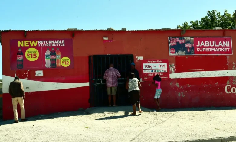 Parks Tau Outlines R100k Spaza Shop Support Fund Oversight and NEF Approval Process