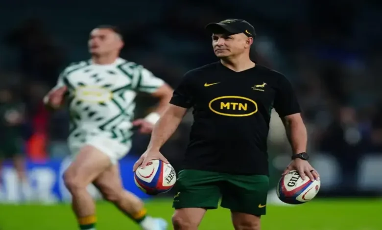 Breakdown Battle: Springboks Seek Clarity on Refereeing Ahead of Second Italy Test