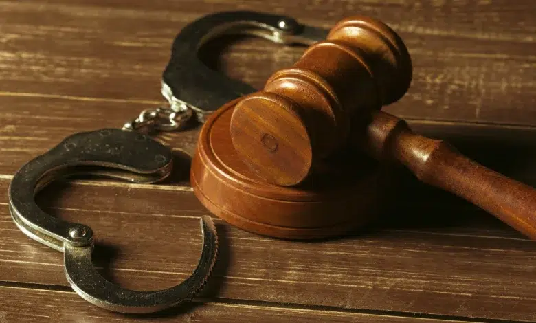 Eight-Year Sentence for Drug Mule Prompts SAPS Warning to Young Women