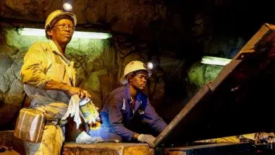 Ex-Miners in Ekurhuleni Urged to Register for Medical and Financial Benefits – Gauteng Health