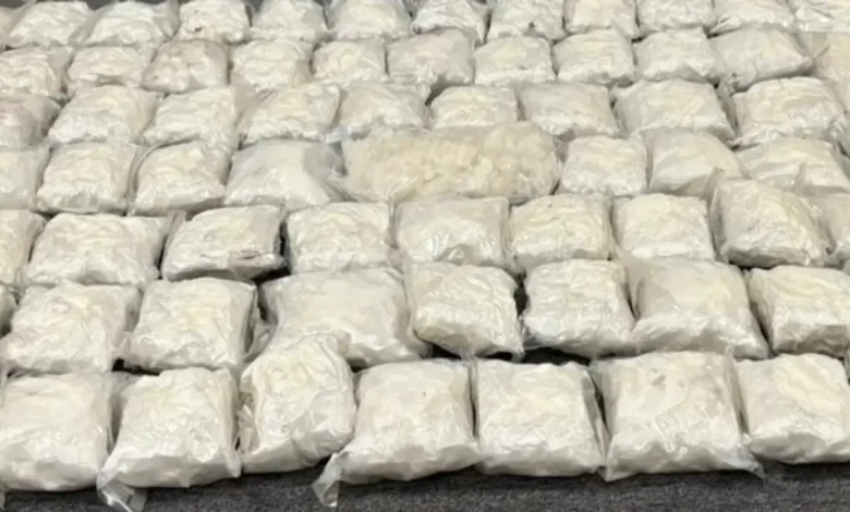 Gauteng Authorities Bust Midrand Drug Operation, Seize Meth and Dagga
