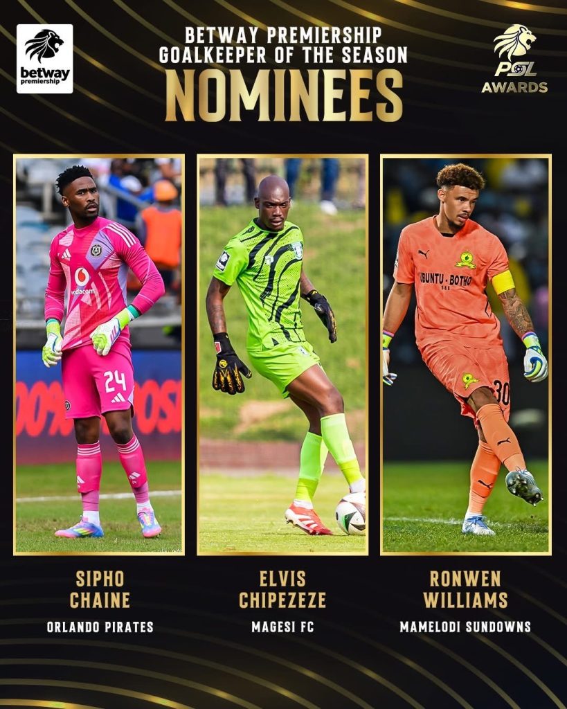 Gauteng News Image