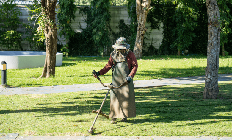 Grounds Keeper Job Opportunities at the Department of Landscape Services (20 Posts)