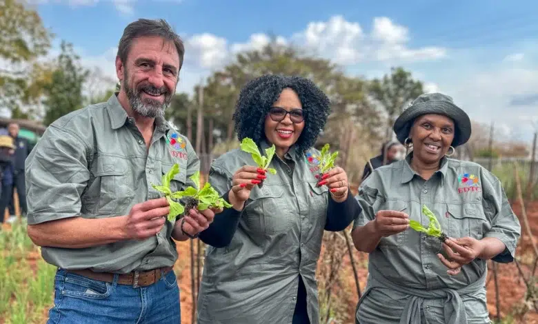 How Vegetable Gardens at Gauteng Clinics Are Changing Lives
