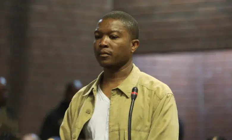 Likhona Fose Case: No Evidence Found Against Mduduzi Mnisi, Says Investigator