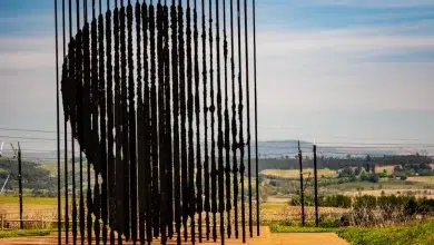 Mandela Day 2025: 5 Initiatives Changing Lives Across South Africa