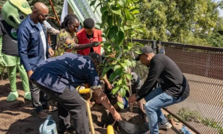 Mandela Day 2025: Johannesburg Leads with Tree Planting, Soup Outreach, and Community Support
