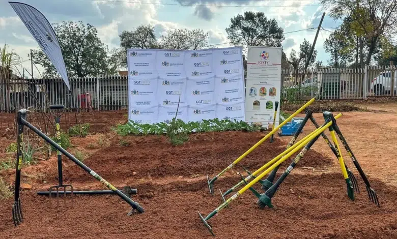 One Clinic, One Garden: A Fight Against Disease and Hunger in Tshwane