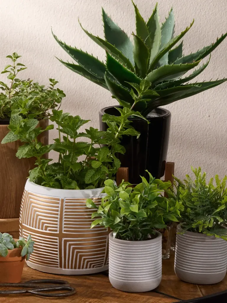Pep Home Finds: Decor Edition – Transform Your Home with Stylish Touches