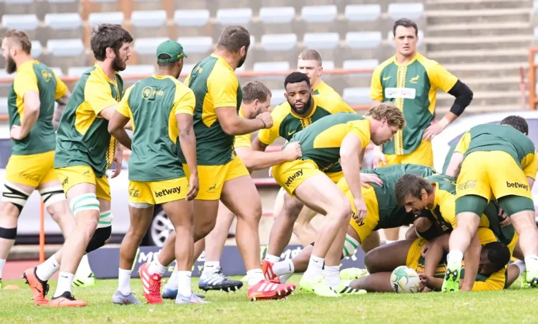 Springboks vs Italy: What the Stats Say Ahead of Test Match
