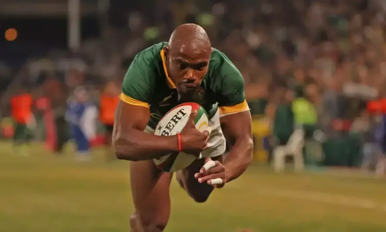 Still Flying: Mapimpi Nears 50 Tests with 32 Tries for the Springboks
