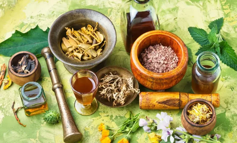 The Role of Traditional Medicine in Modern Gauteng Health Choices