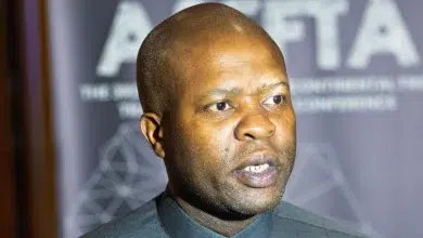 Gauteng Tourism in Focus: Maile to Present Key Stats and Strategies for Economic Growth