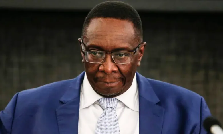 Justice Mlambo Appointed Deputy Chief Justice – What It Means for South Africa