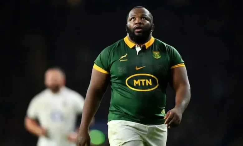 Springboks Need to Crush Wallabies to Keep Rugby Championship Hopes Alive – Nché