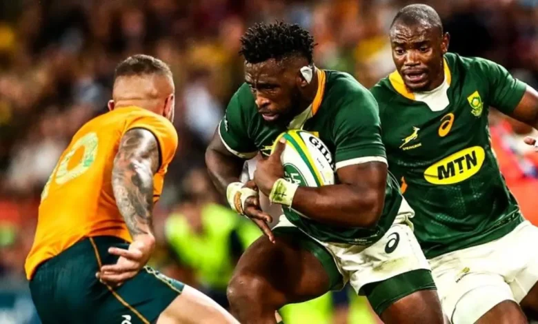Springboks vs Wallabies: Five Key Battles to Watch at Ellis Park
