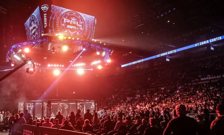 What PFL Africa 2 Means for Joburg Tourism and Small Businesses